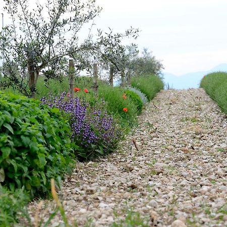 Agriturismo2Laghi Ponti sul Mincio Dış mekan fotoğraf