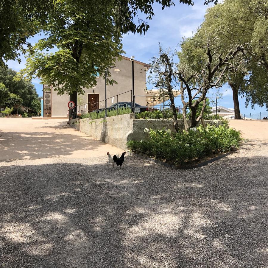 Agriturismo2Laghi Ponti sul Mincio Dış mekan fotoğraf